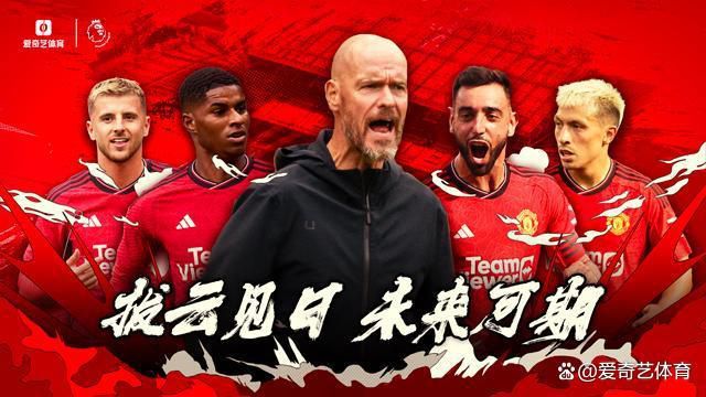 二战时代，英国一架飞机在履行轰炸使命中，被德军击中，几名英国兵士被迫跳伞逃生。他们约好在土耳其浴室碰头，并用此次步履的代号“鸳鸯茶”作为接头记号。                                  他们别离下降在法国巴黎德军占据区的分歧地址。年夜胡子中队长雷金纳德被动物园办理员所救。而别的两名流兵，也别离在油漆匠奥古斯德 （布尔维尔 饰）和乐队批示斯塔尼斯拉斯（路易·德·费内斯 饰）的帮忙下遮蔽好了。即使德军睁开